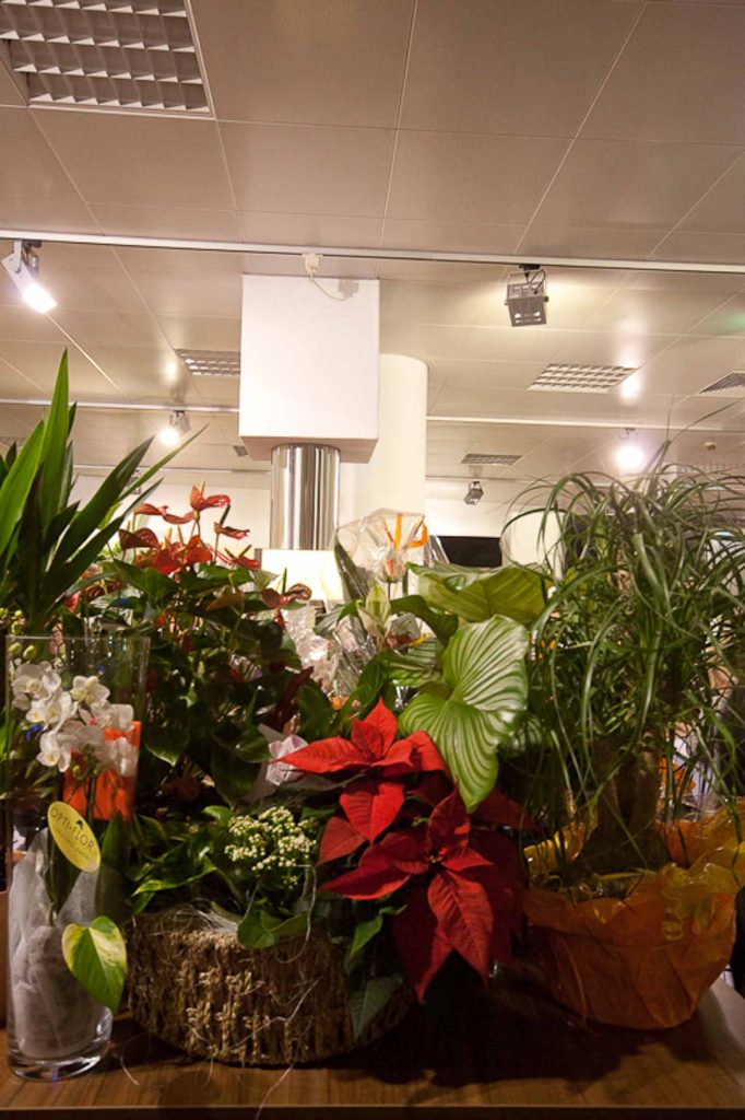 Eröffnung des Küchenzentrum Dresden 2009