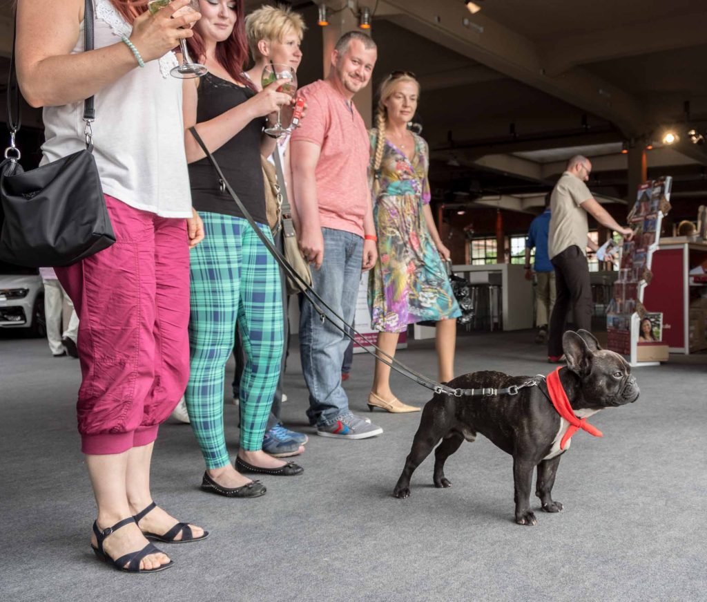 Das Küchenzentrum Dresden bei den Genusswelten 2016